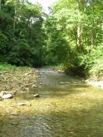 Abundante agua para Limón