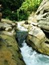 Bosque lluvioso